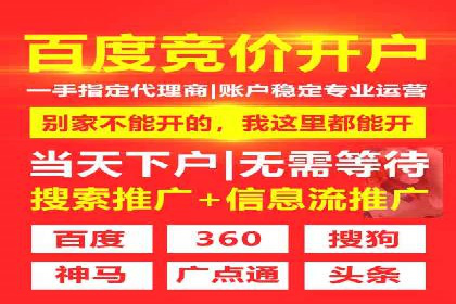案例分享：SEM推广助力电商快速崛起